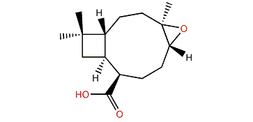 Rumphellolide A